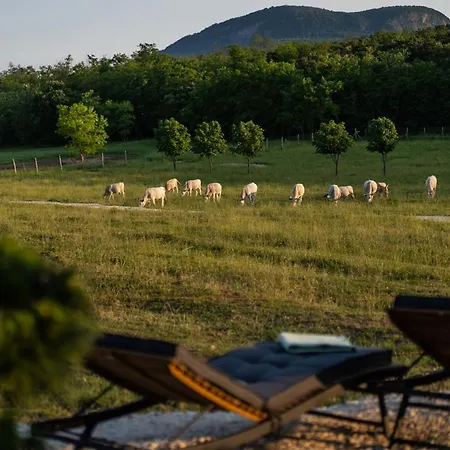 Istvándy Birtok * Kaptalantoti
